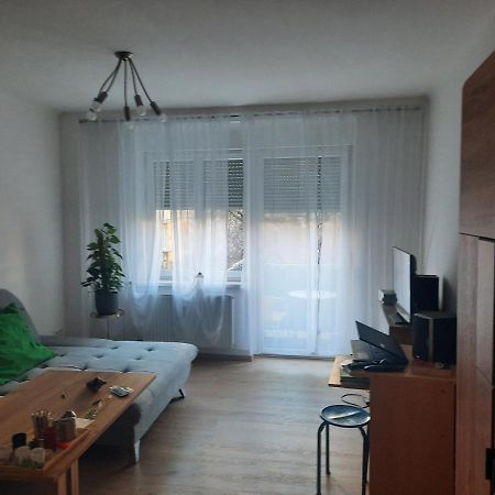 Schone Wohnung In Der Grazer Innenstadt エクステリア 写真