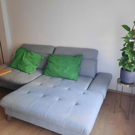 Schone Wohnung In Der Grazer Innenstadt エクステリア 写真