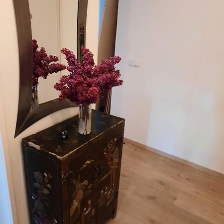 Schone Wohnung In Der Grazer Innenstadt エクステリア 写真