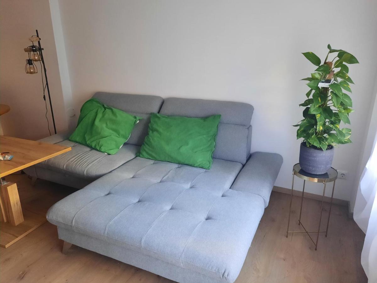 Schone Wohnung In Der Grazer Innenstadt エクステリア 写真