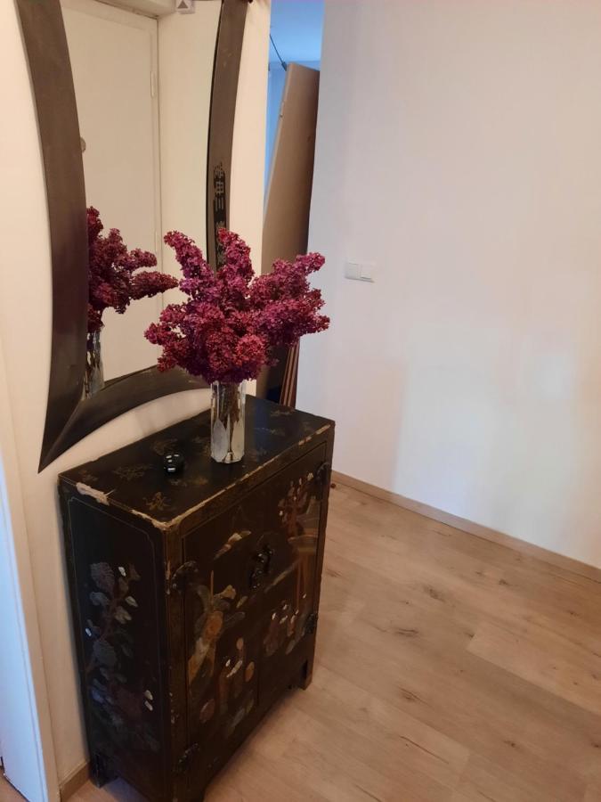 Schone Wohnung In Der Grazer Innenstadt エクステリア 写真
